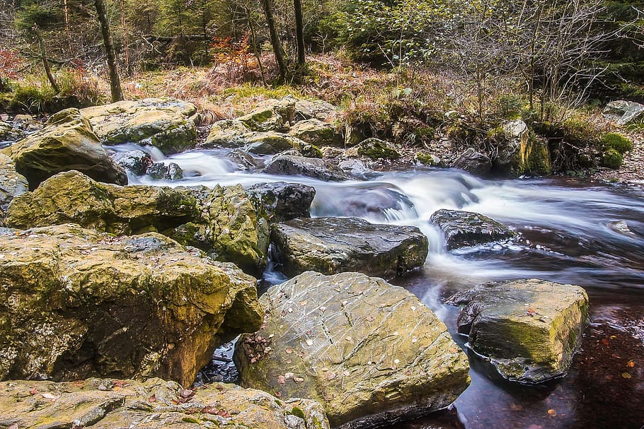 water, flow, nature, stream, river, jungle, wild, forest, rainforest HD wallpaper