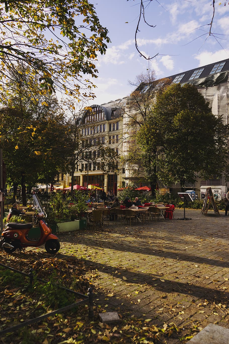 berlin, germany, hackescher markt, trees, archtiecture, autumn HD wallpaper