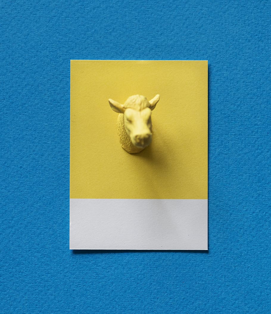 abstract, animal, background, blue, bull, bulls head, card HD wallpaper