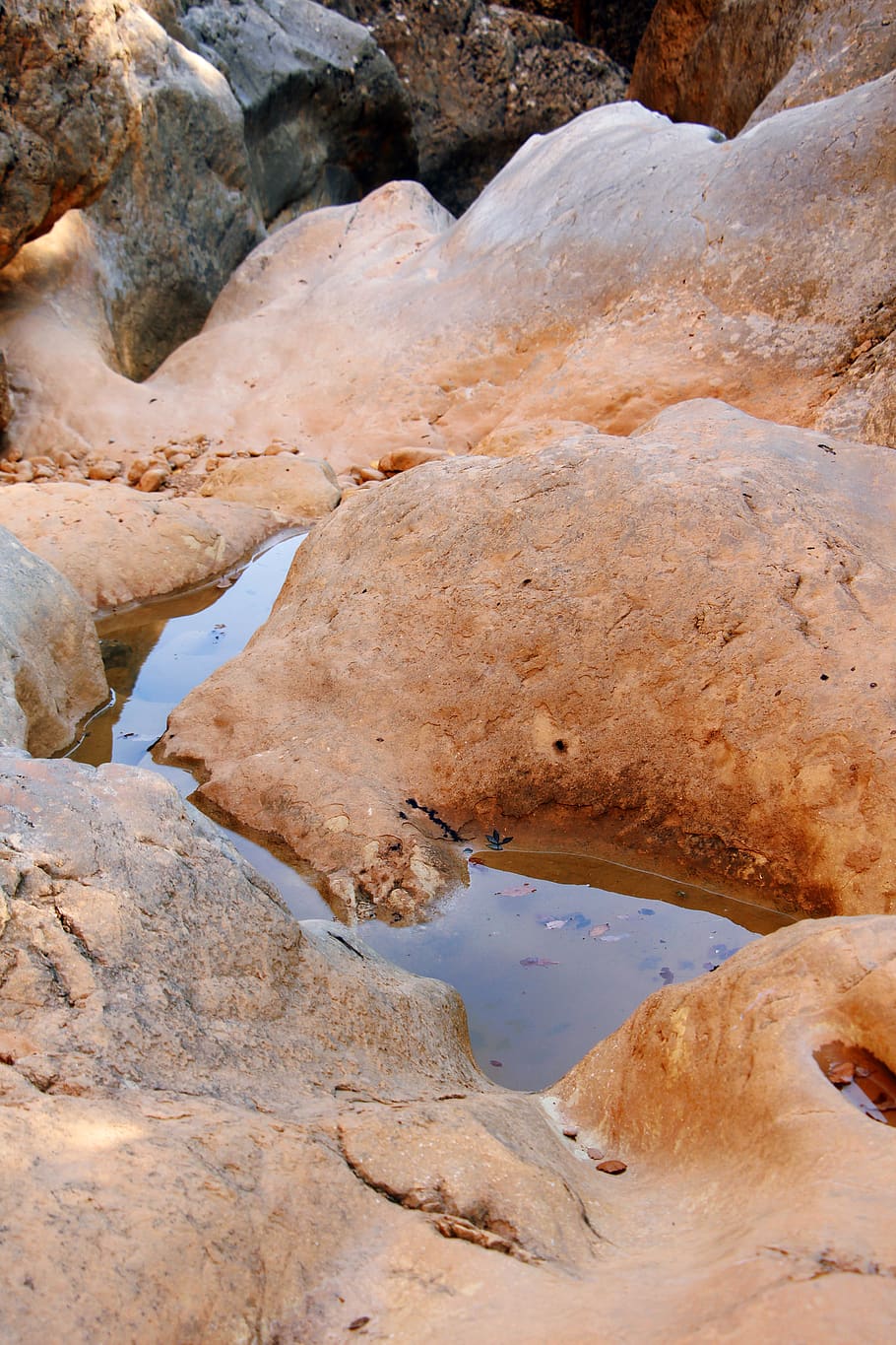 spain, cellers, river, canyon, dry, rocks, autumn, water, landscape HD wallpaper