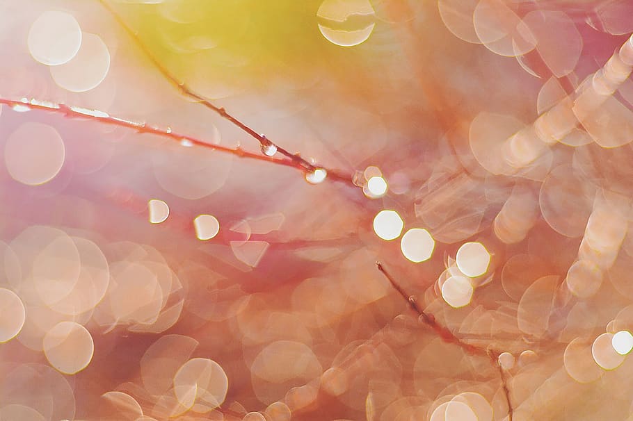 defocused, abstract, backgrounds, no people, red, light - natural phenomenon HD wallpaper