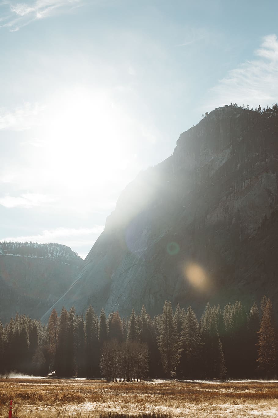 light, flare, tree, plant, fir, abies, nature, sunlight, outdoors HD wallpaper