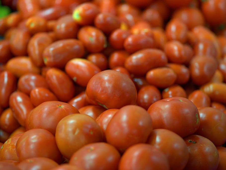 tomatoes, fresh, red, vegetables, healthy, cook, food, raw HD wallpaper