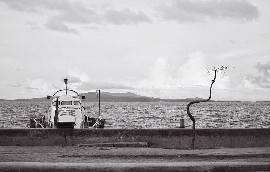 boat, dead tree, boulevard, sky, water, land, day, nature, sea HD wallpaper