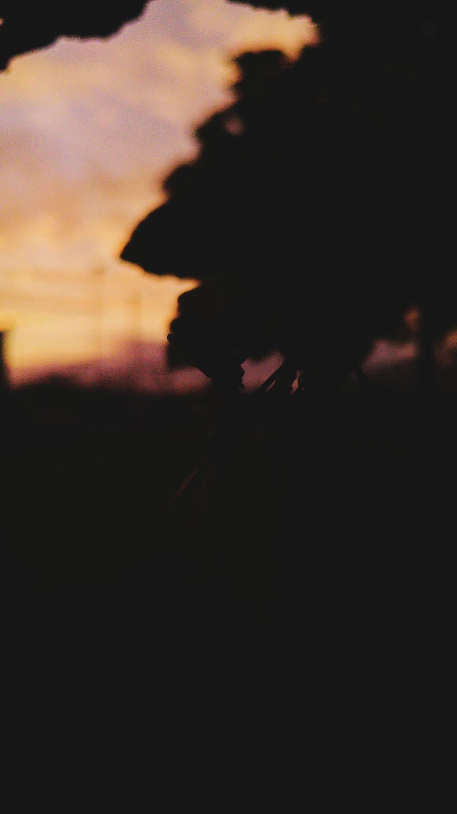 A tree under cloudy skies after dusk., silhouette, no people HD wallpaper