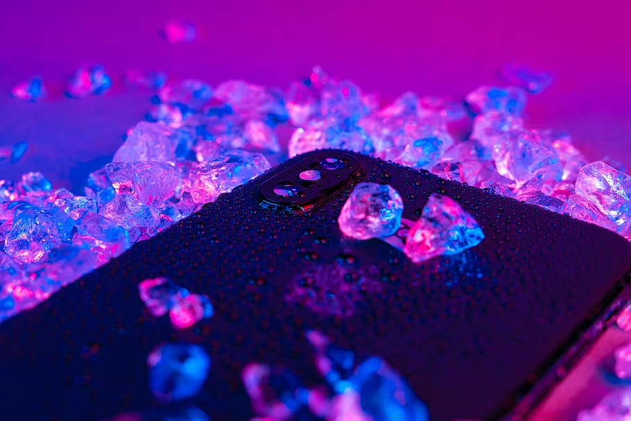 black iPhone, purple, close-up, nature, no people, solid, selective focus HD wallpaper
