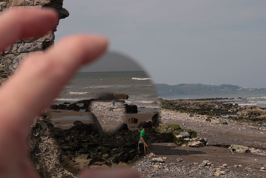person, human, co wicklow, ireland, bray, finger, nature, outdoors