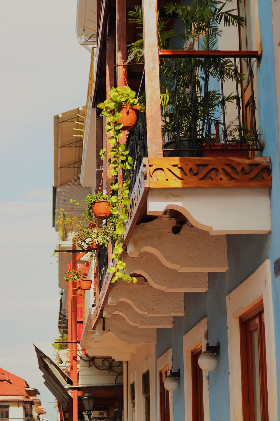Green Vine Plants, architectural design, architecture, balcony HD wallpaper