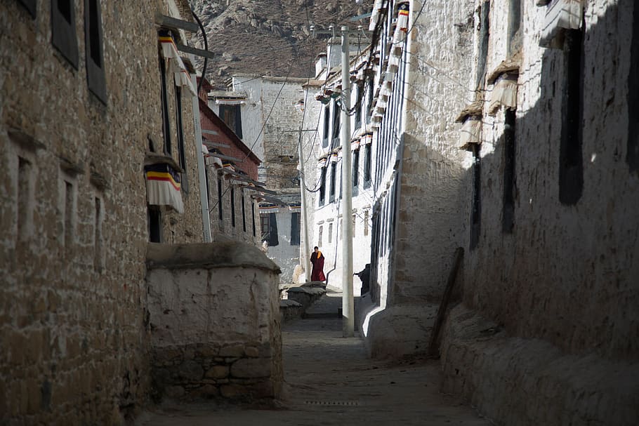 monk, tibet, monastary, architecture, built structure, building exterior HD wallpaper