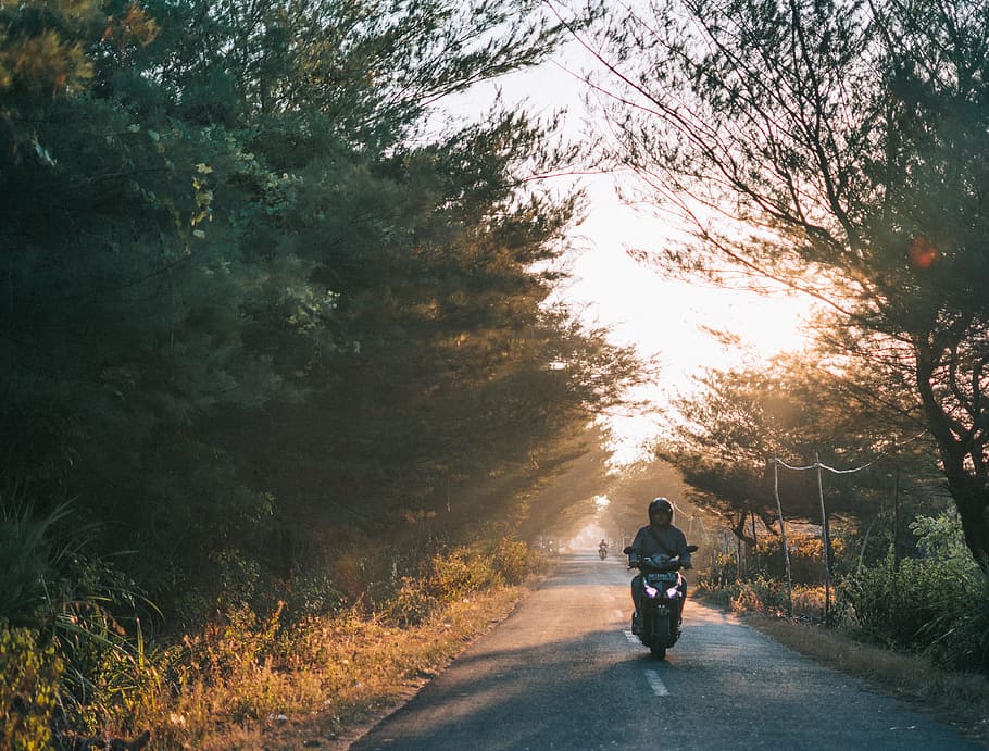 Man Wearing Gray Shirt Riding Motorcycle, dawn, daylight, environment HD wallpaper