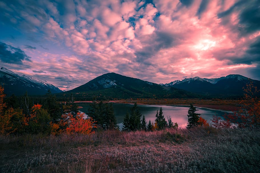 canada, banff, trees, lake, alberta, sunset, mountains, beauty in nature HD wallpaper
