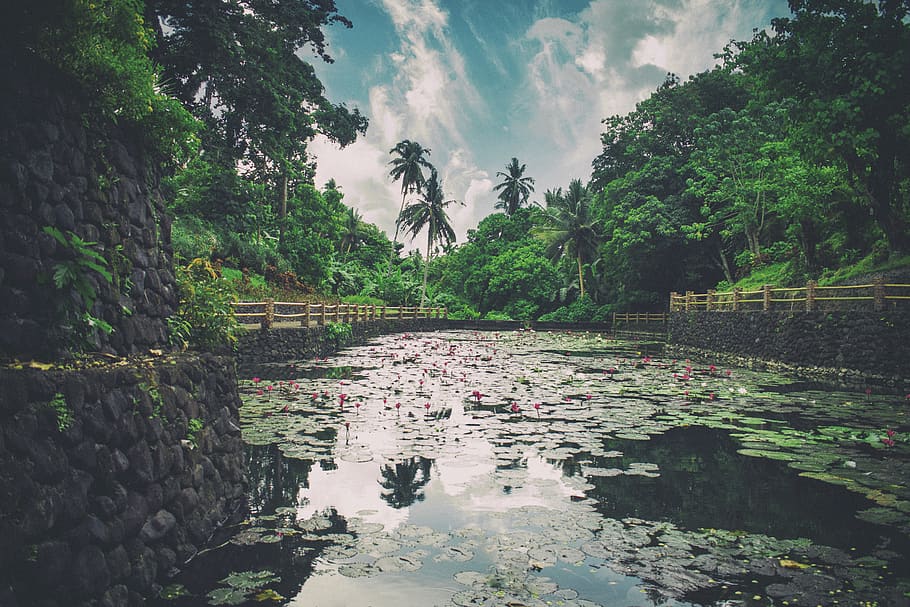 Surrounded by water