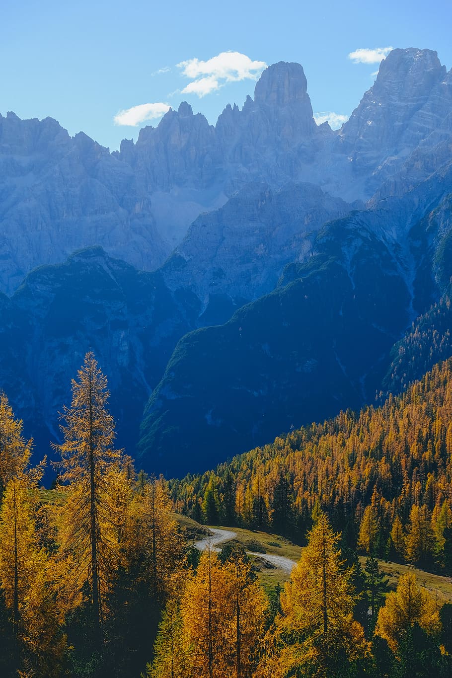 Bird's Eye View Photography, daylight, forest, landscape, mountain HD wallpaper