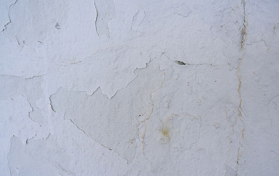 concrete, texture, floor, slate, paper, wall, insect, animal HD wallpaper