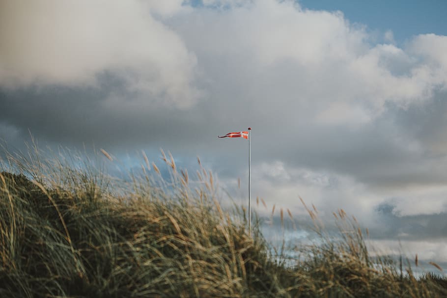 orange and white flag, denmark, grass, plant, field, sky, cloud HD wallpaper