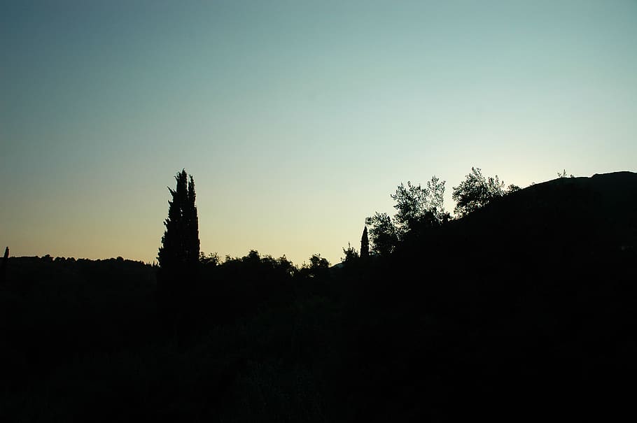 greece, corfu, shadow, trees, silhouette, sky, plant, copy space HD wallpaper