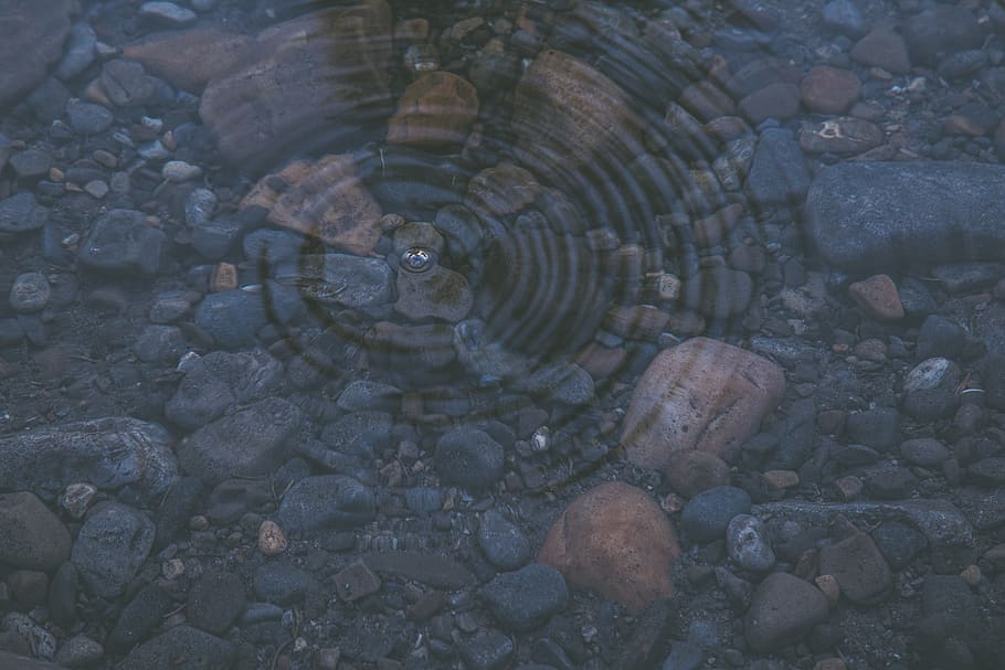 round, circle, outdoor, outside, lake, splash, rock, drop, effect HD wallpaper