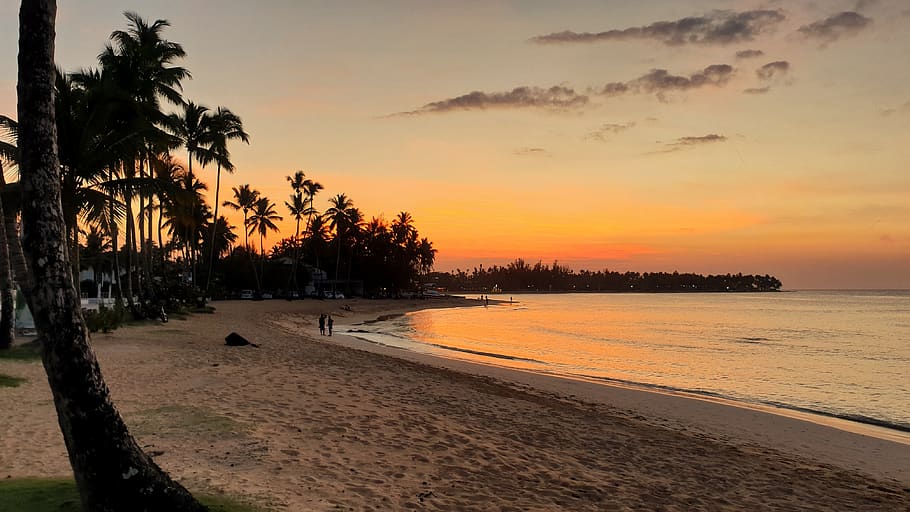 dominican republic, beach, sunset, las terrenas, caribbean, HD wallpaper