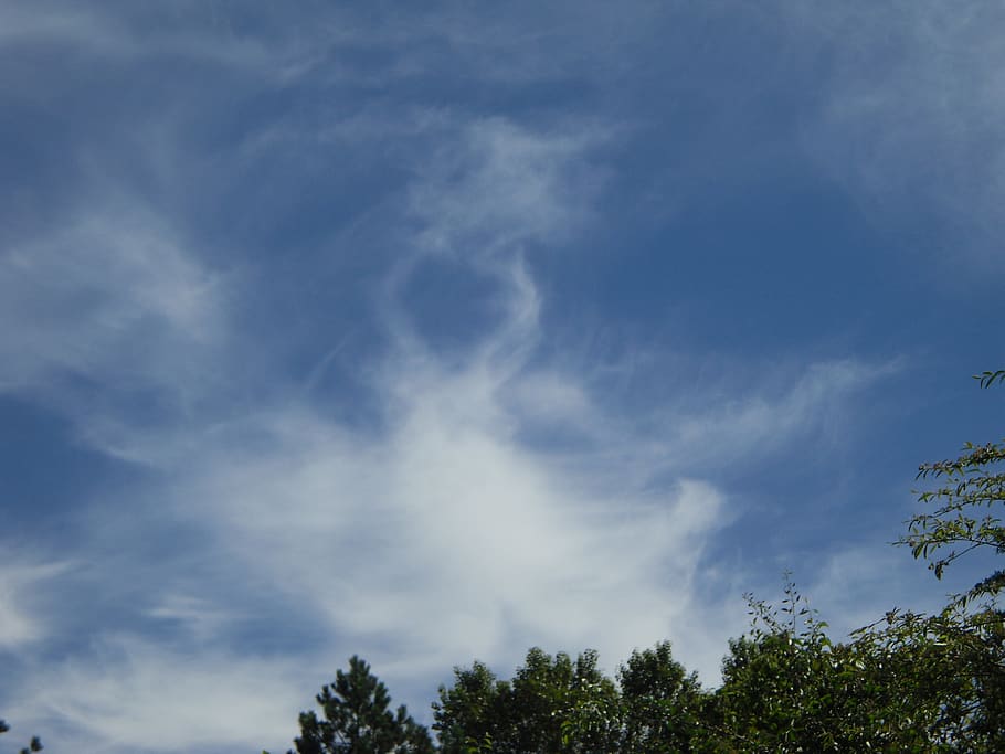 heart, cloud, white, blue, sky, vancouver, cloud - sky, tree HD wallpaper