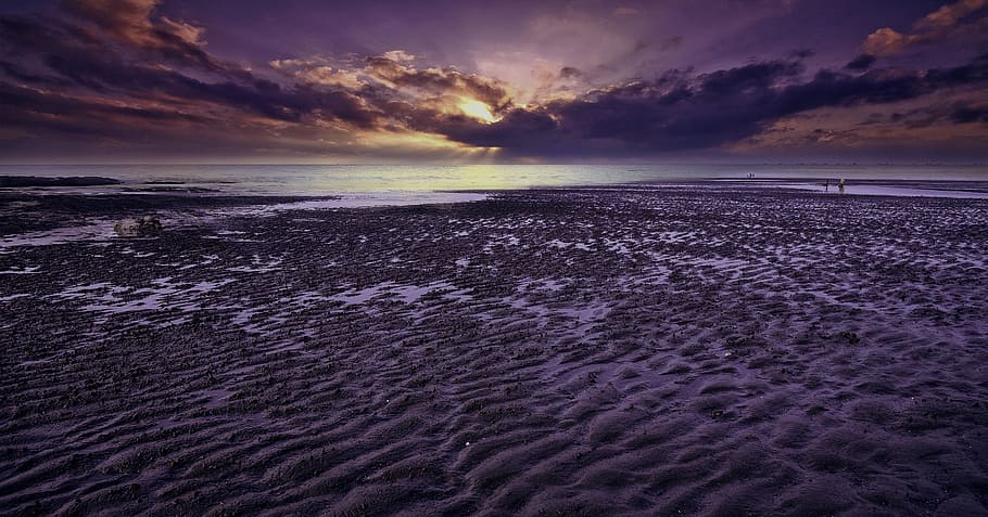 Seashore during Golden Hour, beach, clouds, dawn, dusk, evening HD wallpaper