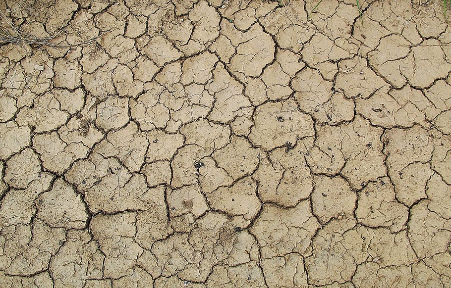 ground, earth, dehydrated, drought, dry soil, cracks, cracked, HD wallpaper