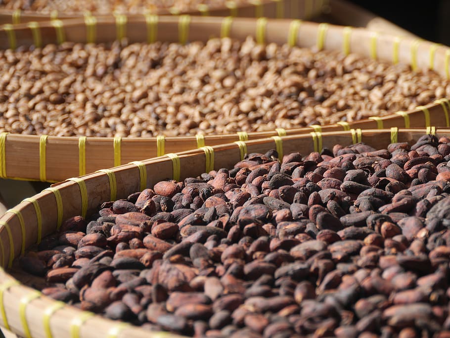 food and drink, large group of objects, abundance, selective focus HD wallpaper