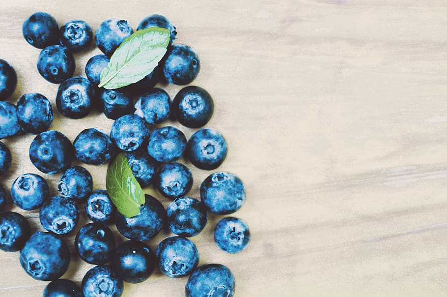 blueberries, fruit, copyspace, antioxidant, berry fruit, healthy eating HD wallpaper