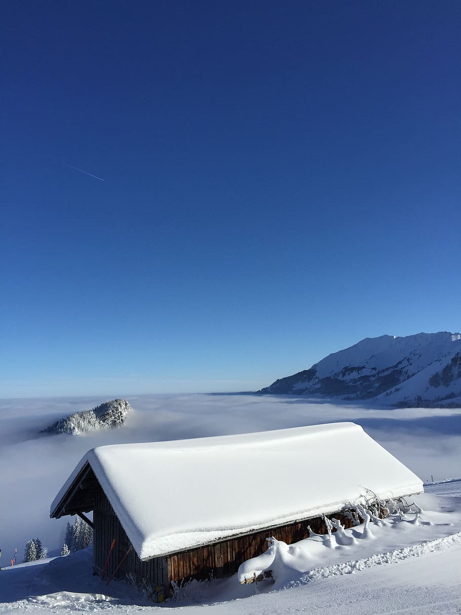 schweiz, zwischenflüh, tree, ski, house, white, blue, sky HD wallpaper