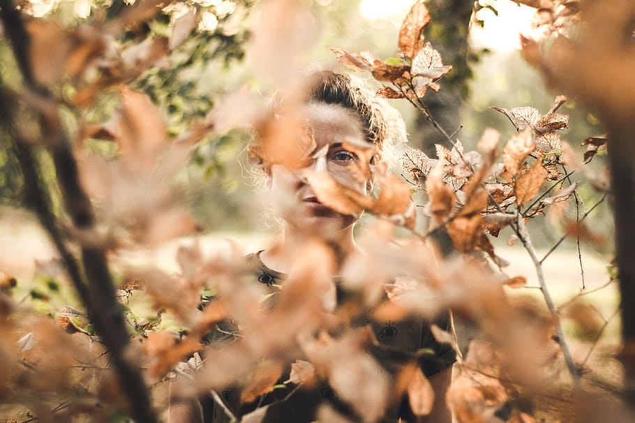 Woman Standing in Front of Brown Leafed Trees, blur, bright, colors HD wallpaper