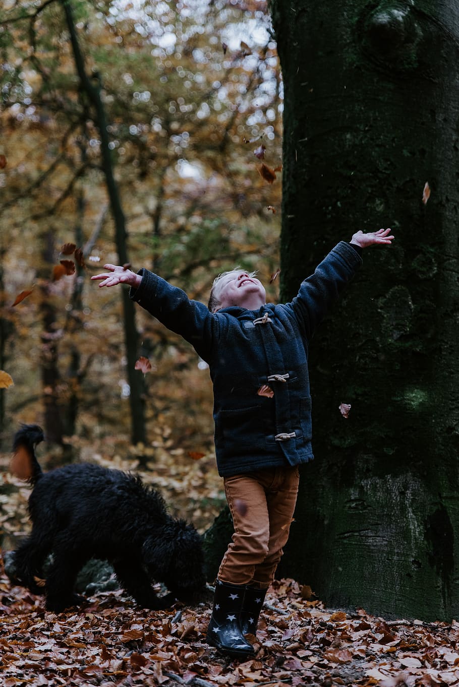 toddler wearing black jacket, tree, one person, mammal, full length HD wallpaper