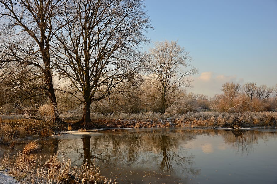 landscape, winter, wintry, aue, nature, winter motif, winter magic HD wallpaper