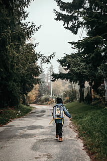 person walking between the trees, human, people, gravel, road HD wallpaper