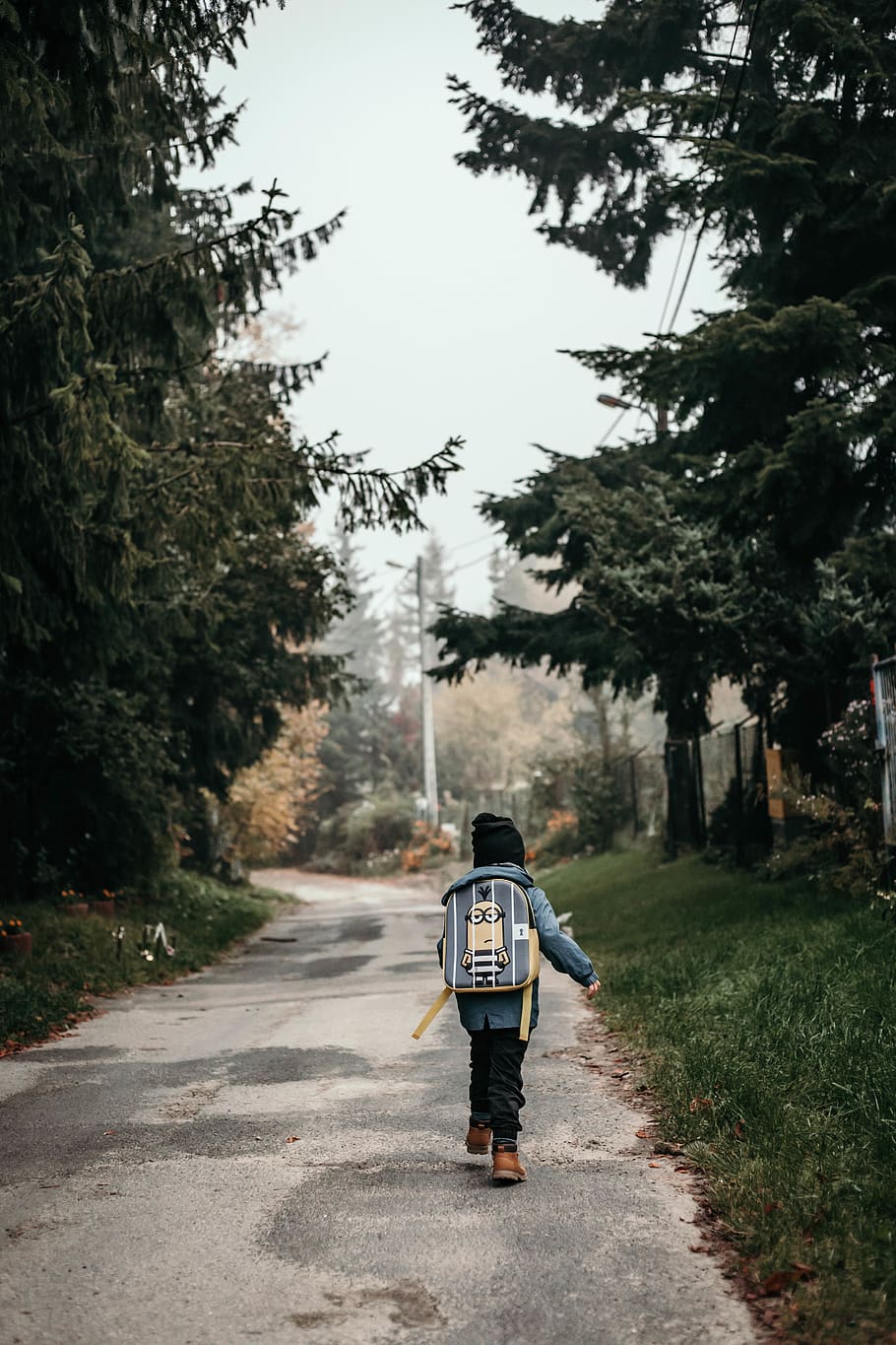person walking between the trees, human, people, gravel, road HD wallpaper