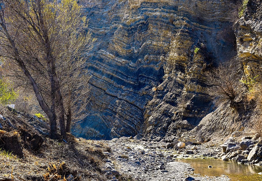 arroyo, canyon, stream, water, bed, nature, landscape, gorge HD wallpaper