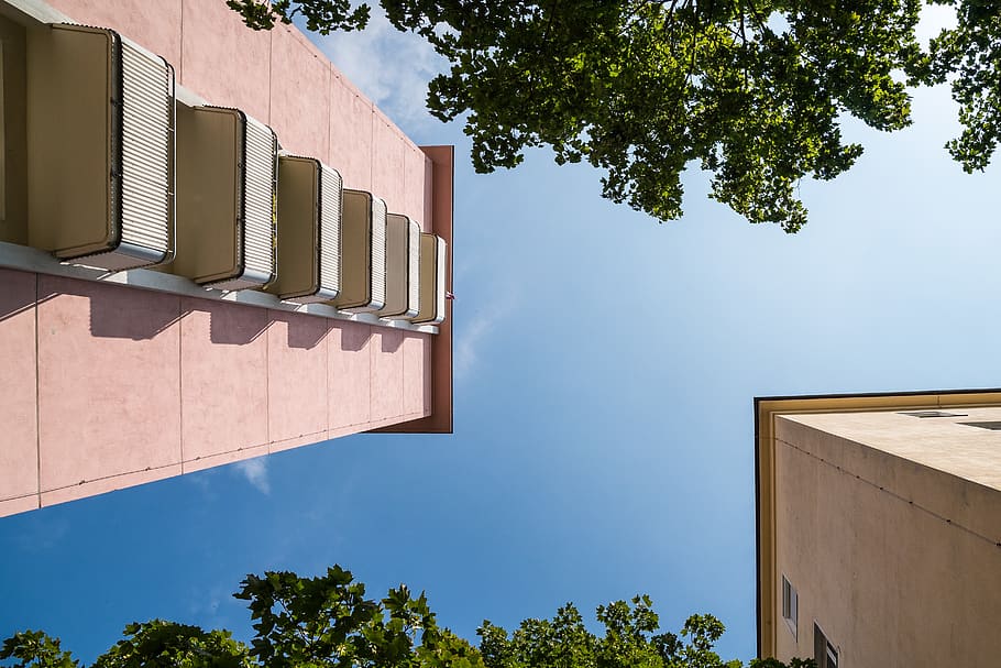 sky, buildings, zenith, trees, perspective, upwards, architecture HD wallpaper