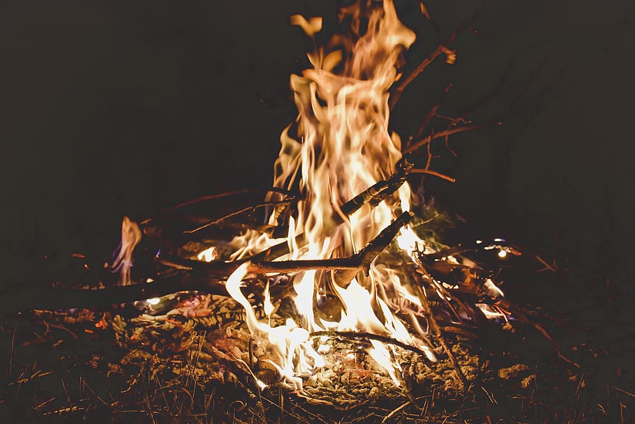 bonfire, flame, goblet, glass, forge, hearth, firefly, insect HD wallpaper