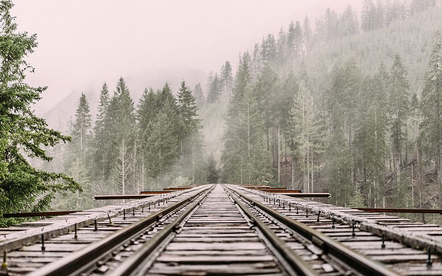 railway, track, route, metal, landscape, forest, tree, bunch HD wallpaper