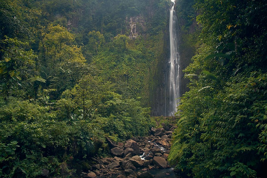 Waterfalls View, cascade, daylight, environment, forest, landscape HD wallpaper