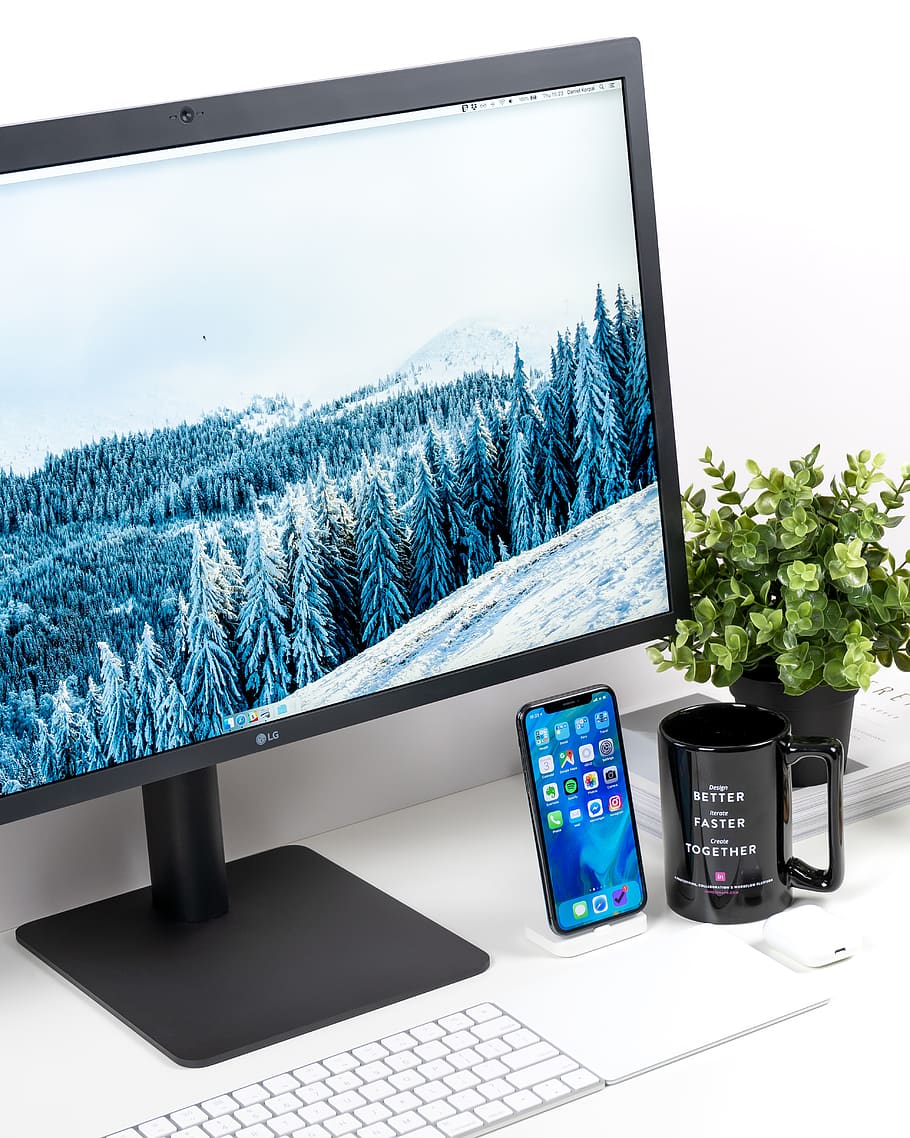 black LG monitor and white keyboard, technology, plant, computer, HD wallpaper