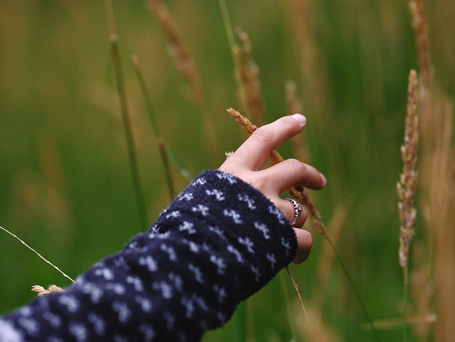 yellow, green, grass, field, nature, hand, close-up, ring, fingers HD wallpaper