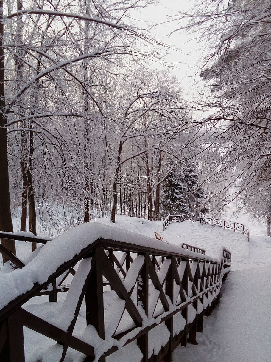 nature, winter, snow, blizzard, storm, outdoors, weather, handrail HD wallpaper