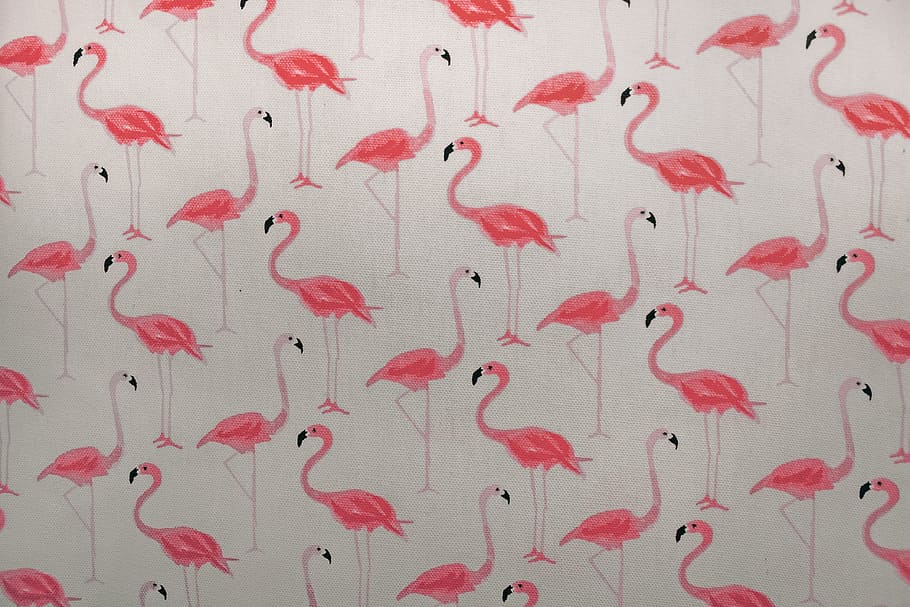 Pink Flamingo Printed Paper, close -up, colors, decoration, design