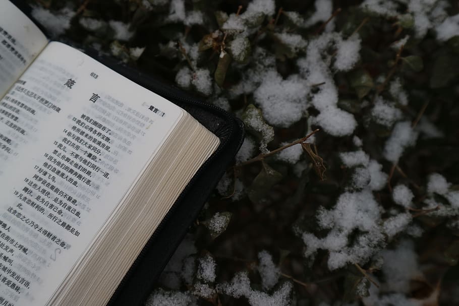 HD wallpaper snow, winter, holy bible, book, publication, closeup, no