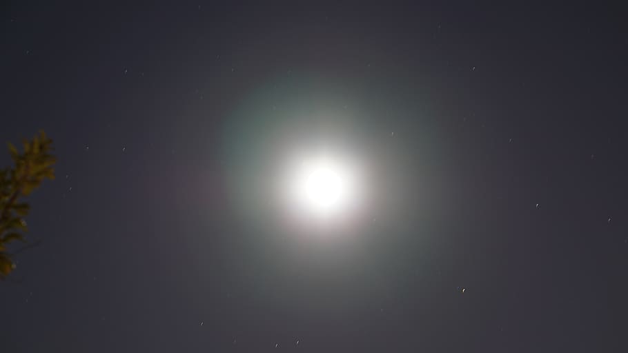supermoon, long exposure, night, night sky, stars, tree, beauty in nature HD wallpaper