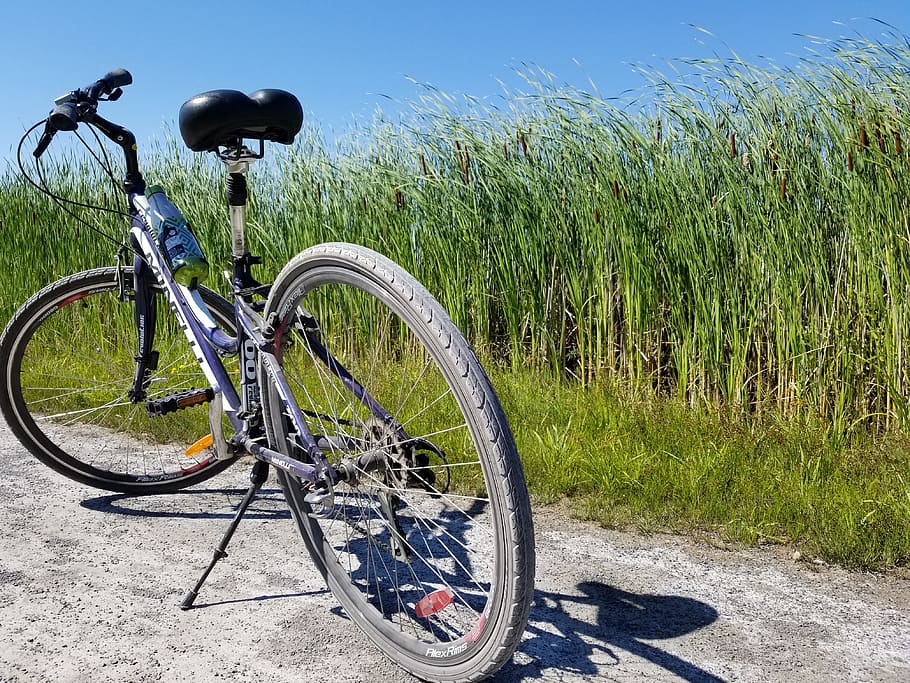 canada, kingston, bicycle, transportation, plant, grass, mode of transportation HD wallpaper