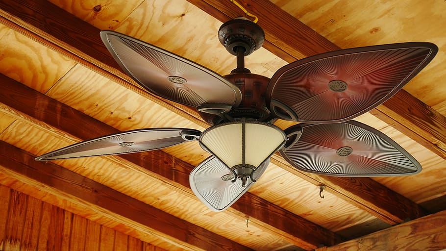 indoors, ceiling fan, interior, circulation, cool, wood - material HD wallpaper