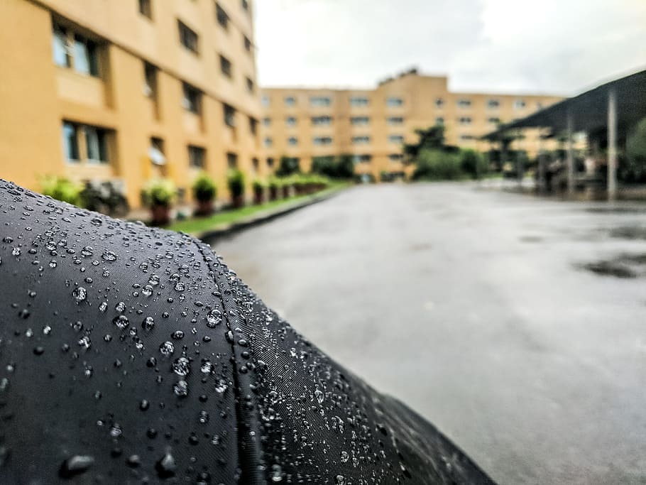 Selective Focus Photography of Black Umbrella With Dew Drops HD wallpaper
