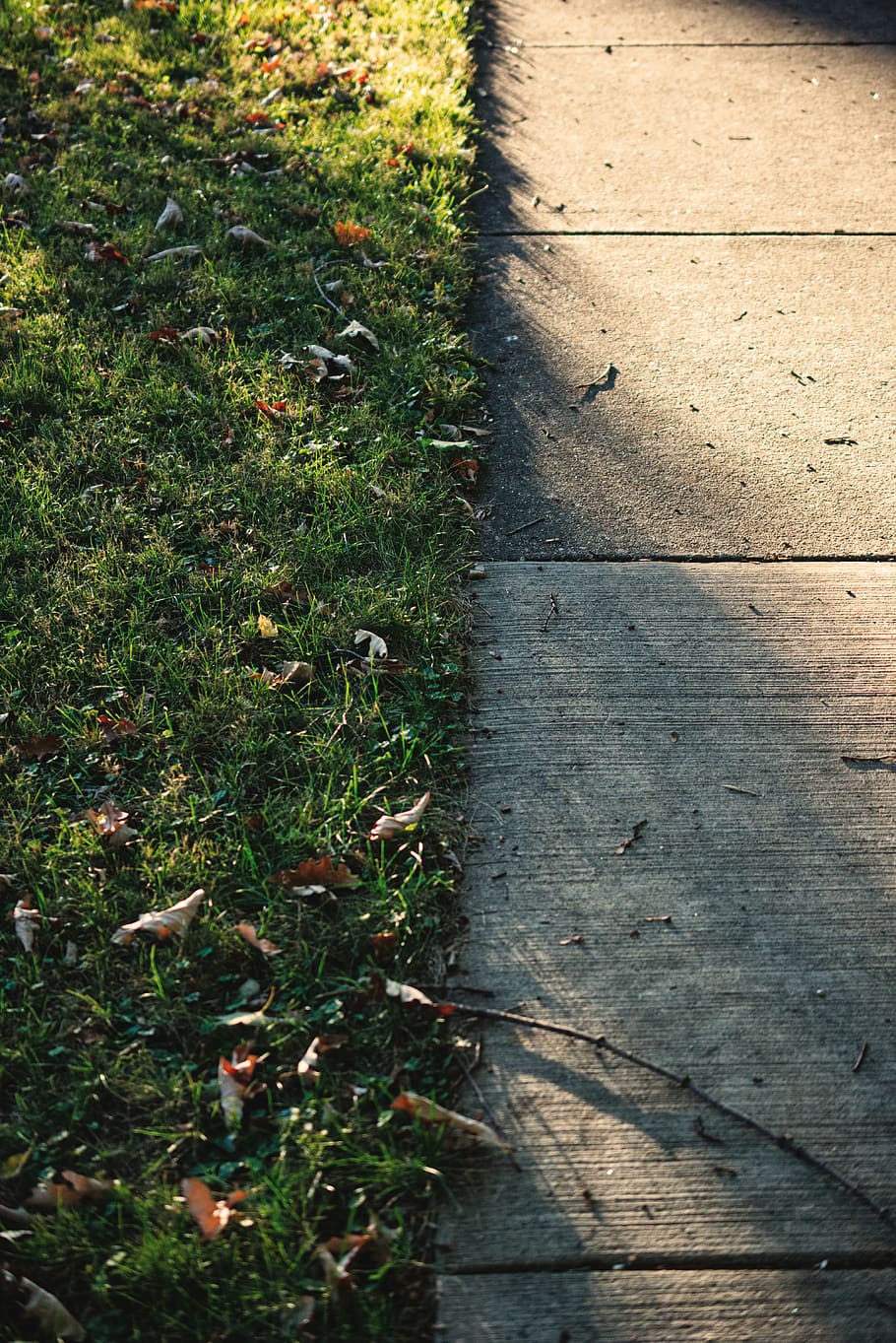 gray concrete pathway, plant, grass, nature, day, footpath, high angle view HD wallpaper