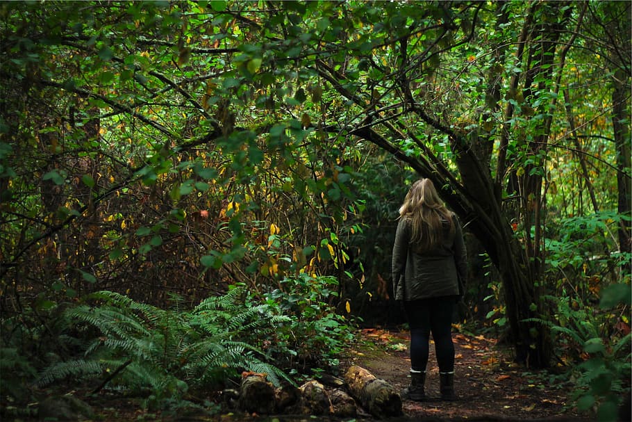 trees, green, leaves, branches, woods, forest, girl, people HD wallpaper