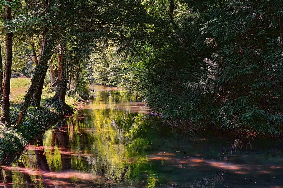 nature, park, trees, river, mirroring, mood, summer, summer green HD wallpaper